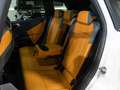 BMW X3 xDrive M50A Bianco - thumbnail 25