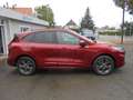 Ford Kuga Plug-In Hybrid, ST-Line X, Automatik, LED, Kamera, Rot - thumbnail 3