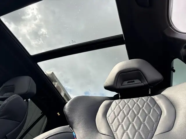 BMW X5 X5 view 10