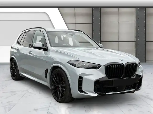 BMW X5 X5 view 5