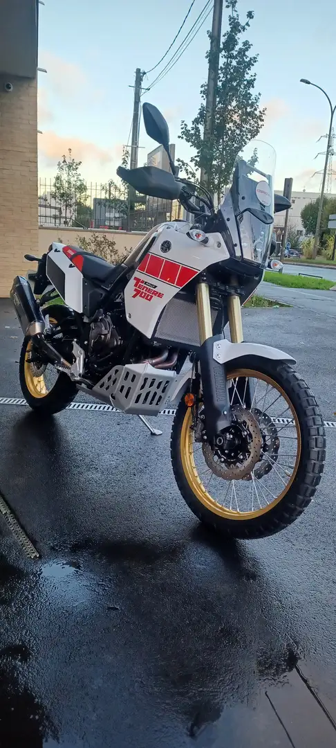 Yamaha Blanc - 1