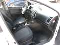 Hyundai i20 i20 1,25 Life Weiß - thumbnail 9
