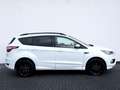 Ford Kuga ST-Line Wit - thumbnail 4