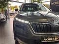 Skoda Kamiq Style NAVI ACC PANO KAMERA Grau - thumbnail 26