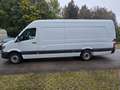 Mercedes-Benz Sprinter Maxi 316 L4H2.Klima.Navi.Kamera.Sortimo Blanco - thumbnail 3