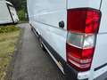 Mercedes-Benz Sprinter Maxi 316 L4H2.Klima.Navi.Kamera.Sortimo Weiß - thumbnail 28