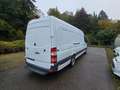 Mercedes-Benz Sprinter Maxi 316 L4H2.Klima.Navi.Kamera.Sortimo Blanco - thumbnail 10