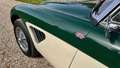 Austin-Healey 3000 mk3 bj8 1964 Beige - thumbnail 26