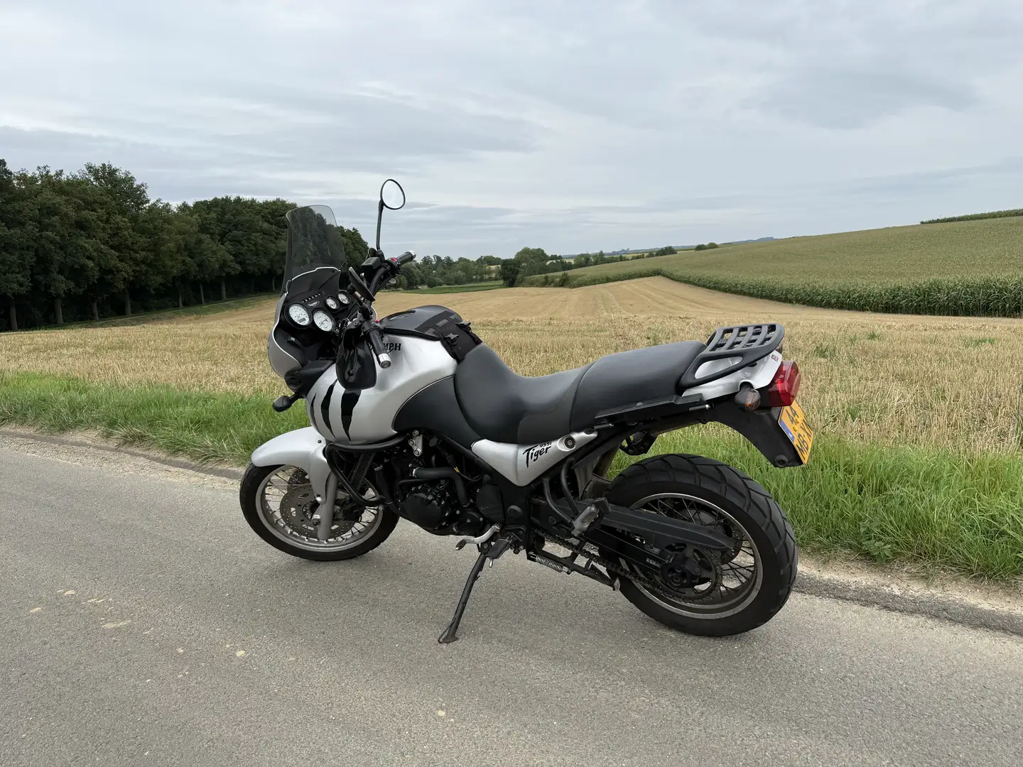 Triumph Tiger 955i Grijs - 1