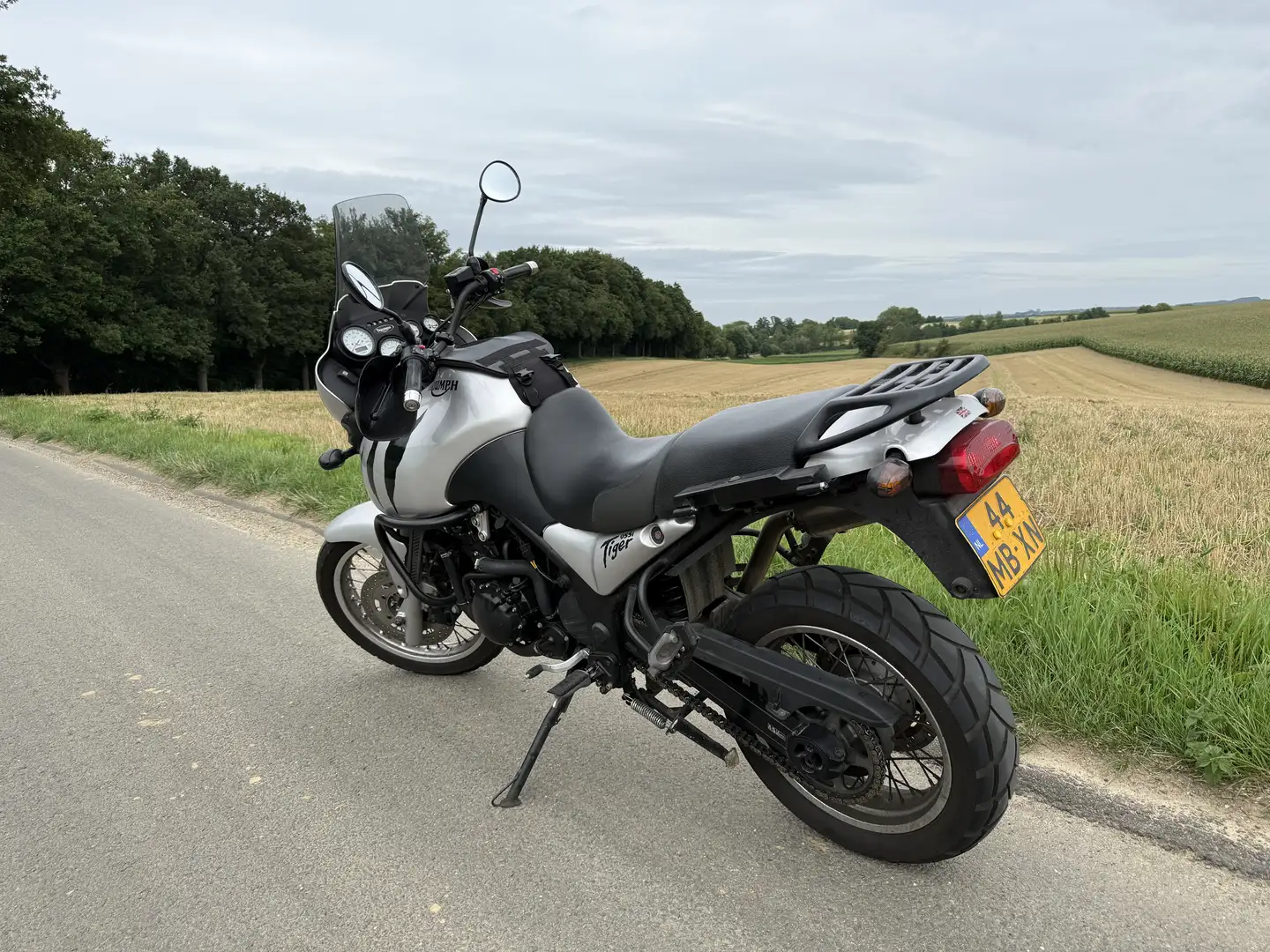 Triumph Tiger 955i Grijs - 2