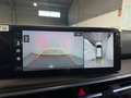 Kia Sorento 2.2CRDi Emotion Pack Premium 4x2 DCT Gris - thumbnail 13