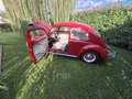 Volkswagen Käfer - thumbnail 8