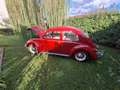 Volkswagen Käfer - thumbnail 7