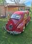 Volkswagen Käfer - thumbnail 3