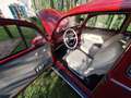 Volkswagen Käfer - thumbnail 6
