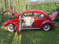 Volkswagen Käfer - thumbnail 10