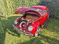 Volkswagen Käfer - thumbnail 2