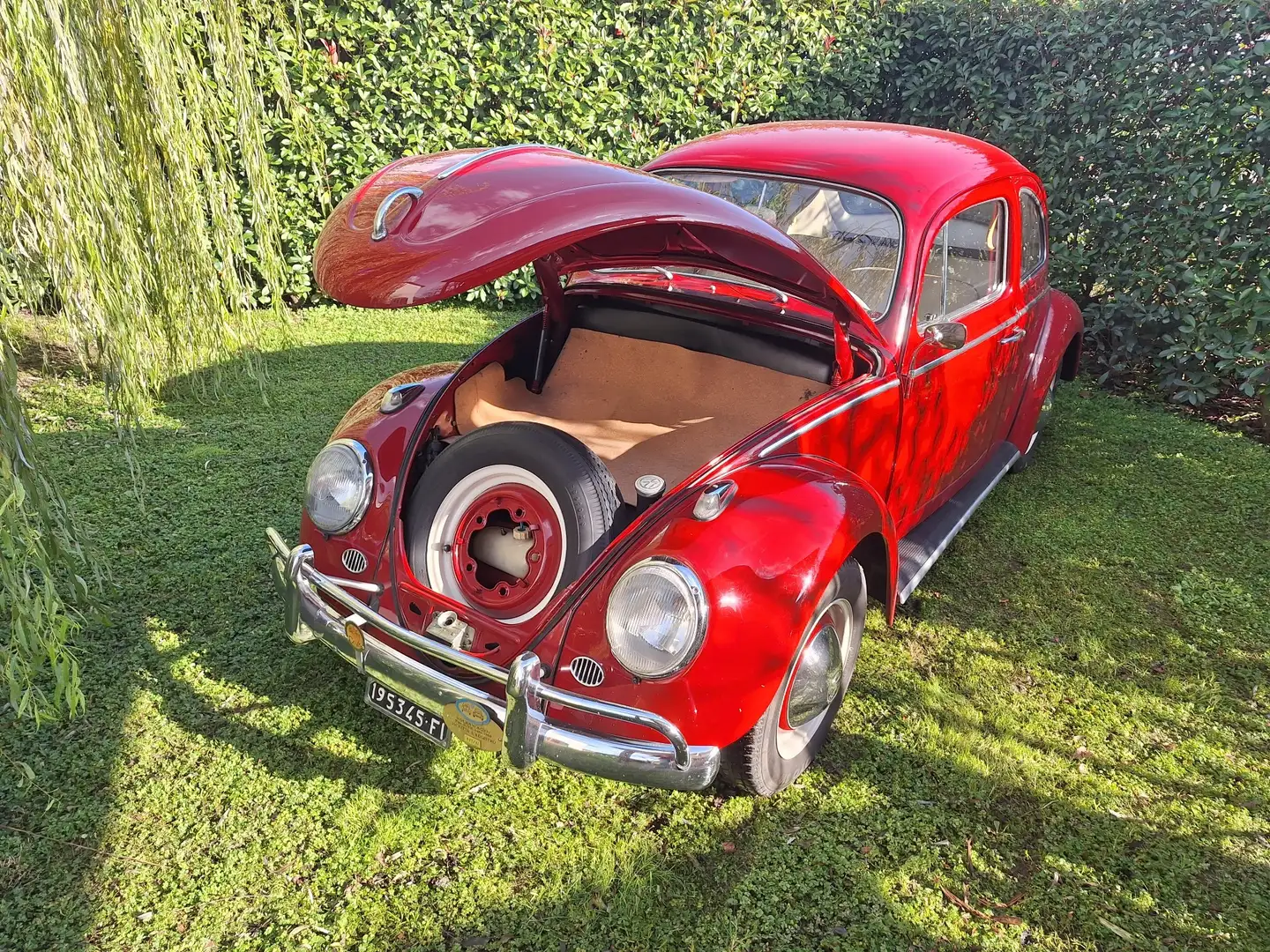 Volkswagen Käfer - 2