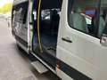 Volkswagen Crafter 9 place Blanco - thumbnail 13