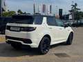 Land Rover Discovery Sport Discovery Sport 2.0 D163 Dynamic SE | Approved Wit - thumbnail 5