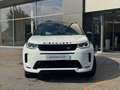 Land Rover Discovery Sport Discovery Sport 2.0 D163 Dynamic SE | Approved Wit - thumbnail 3