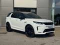 Land Rover Discovery Sport Discovery Sport 2.0 D163 Dynamic SE | Approved Wit - thumbnail 2