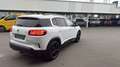 Citroen C5 Aircross Feel Pack Hybrid 225 Weiß - thumbnail 3