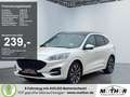Ford Kuga Duratec 2.5  PHEV d-T Automatik Navi White - thumbnail 1