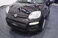 Fiat New Panda My25 1.0 FireFly S&S Hybrid #PackCity Grijs - thumbnail 20