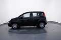 Fiat New Panda My25 1.0 FireFly S&S Hybrid #PackCity Gri - thumbnail 3