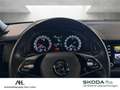Skoda Kodiaq 2.0 TDI Sportline 4x4 DSG LED ACC AHK Pano RFK Sta Grau - thumbnail 20