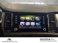 Skoda Kodiaq 2.0 TDI Sportline 4x4 DSG LED ACC AHK Pano RFK Sta Grau - thumbnail 18