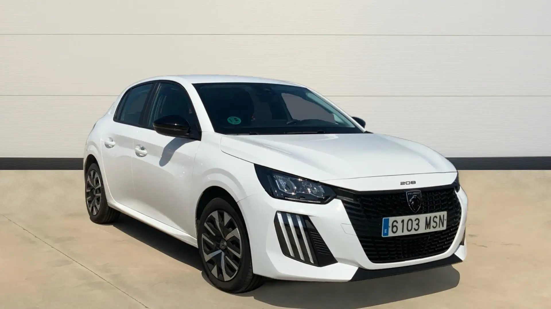 Peugeot 208 1.2 Puretech S&S Active 100 - 1