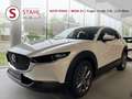 Mazda CX-30 e-Skyactive G122 Exclusive-Line DESI AUTO STAHL... bijela - thumbnail 1