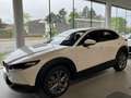 Mazda CX-30 e-Skyactive G122 Exclusive-Line DESI AUTO STAHL... White - thumbnail 3