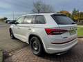 Skoda Kodiaq RS 4x4 176kw TDI DSG-AHK-Pano-360- Blanc - thumbnail 6