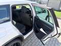 Skoda Kodiaq Kodiaq 2,0 TDI SCR 4x4 Ambition Ambition Weiß - thumbnail 9