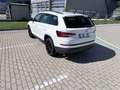Skoda Kodiaq Kodiaq 2,0 TDI SCR 4x4 Ambition Ambition Weiß - thumbnail 4