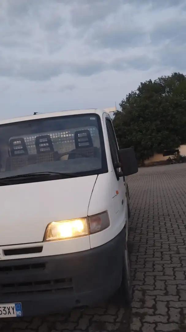 Fiat Ducato Cassone fisso Білий - 1