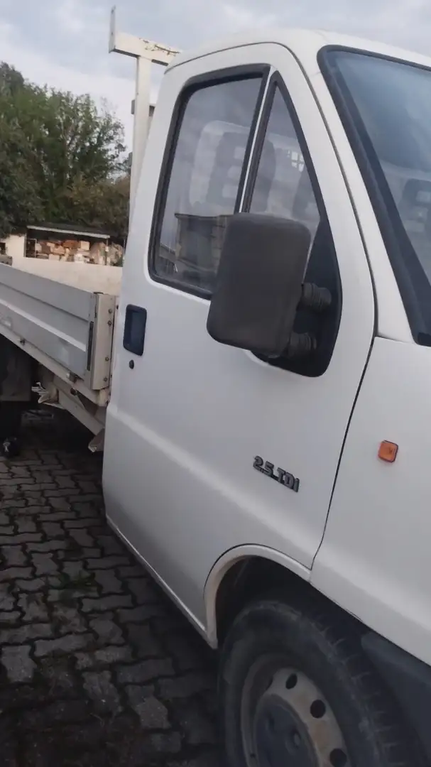 Fiat Ducato Cassone fisso Білий - 2