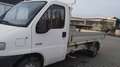 Fiat Ducato Cassone fisso Білий - thumbnail 5