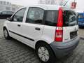 Fiat Panda 1.1 8V Active Weiß - thumbnail 3