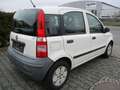 Fiat Panda 1.1 8V Active Weiß - thumbnail 5