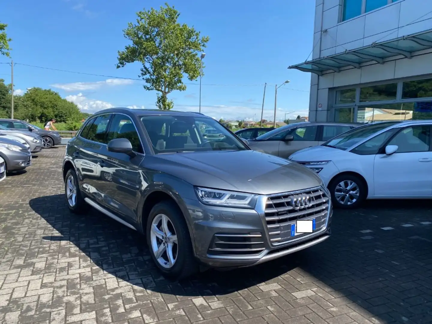 Audi Q5 40 TDI 204 CV quattro S tronic Grigio - 2