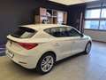 SEAT Leon Leon IV 2020 2.0 tdi Business 115cv Bianco - thumbnail 6