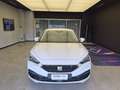 SEAT Leon Leon IV 2020 2.0 tdi Business 115cv Bianco - thumbnail 2