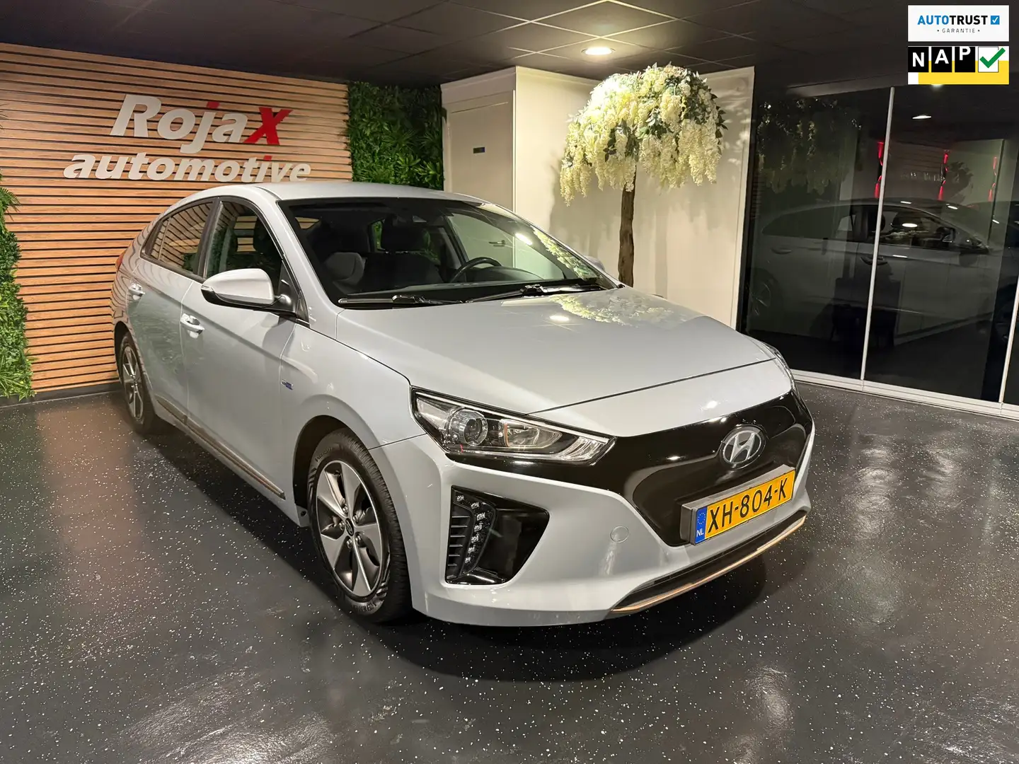 Hyundai IONIQ Comfort EV CAMERA - SOH 100% - NAVI - LED CLIMA. Grijs - 1
