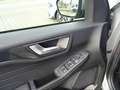 Ford Kuga 2.0 Ecoblue ST-Line X +Ahk+Pano+LED+20"+ACC+B&O Silber - thumbnail 13