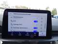 Ford Kuga 2.0 Ecoblue ST-Line X +Ahk+Pano+LED+20"+ACC+B&O Silber - thumbnail 20