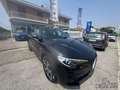 Alfa Romeo Stelvio 2.2 t Business Q4 190cv auto Zwart - thumbnail 6